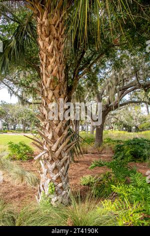 Bradenton, Florida, Manatee County – Szenen rund um den Bradenton Riverwalk. Promenade, Parks, Manatee River, Piers. Stockfoto