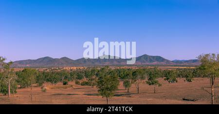 Farmland Rockhampton Queensland Australien während der Dürre. Stockfoto