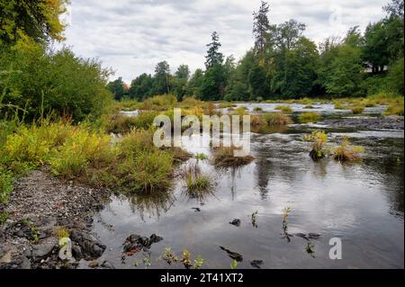 Eine atemberaubende Aufnahme eines Baches, der von Wasser überflutet wird, umgeben von üppigen grünen Bäumen und Gras Stockfoto