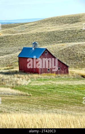 Eine alte rote Scheune steht auf einem Feld in der Nähe von Moskau, Idaho in der Region palouse. Stockfoto