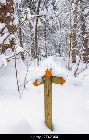 Wandermarkierung mit Schnee im Wald für einen Wanderweg, Schweden Stockfoto