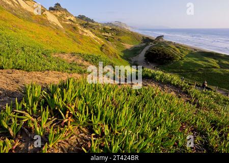 Der malerische Strand von Fort Funston am Skyline Blvd, San Francisco CA Stockfoto