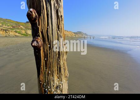 Der malerische Strand von Fort Funston am Skyline Blvd, San Francisco CA Stockfoto