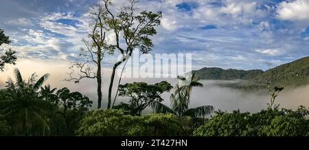 Atlantische Waldberge, Tal bedeckt mit Nebel und blauer Himmel mit weißen Wolken im Hintergrund, Itatiaia, Rio de Janeiro, Brasilien Stockfoto