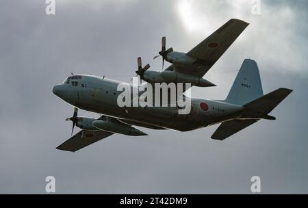 Eine japanische Marine Self Defence Force (JMSDF) Lockheed C-130R Hercules flog in der Nähe der NAF Atsugi Luftwaffenbasis. Kanagawa, Japan. Stockfoto