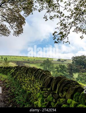 Ein malerisches Bild einer Steinmauer, die sich auf einen Hügel in der Landschaft von Wales schlängelt Stockfoto