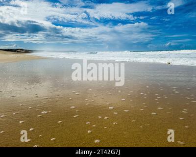 Ein idyllischer Strand in Lagoa de Albufeira, Sesimbra, Lissabon, Portugal, mit Blick auf den Atlantik Stockfoto