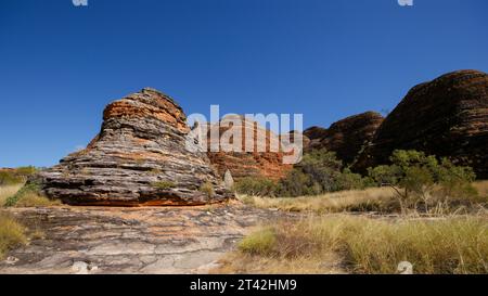 Beehive Kuppeln in den Bungle Bungle Ranges (Purnululu), Westaustralien Stockfoto