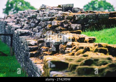 Hadrian's Wall, eine Mauer, die von den Römern auf der Spitze Englands errichtet wurde Stockfoto