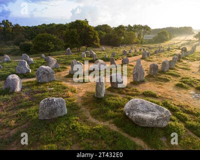 Carnac-Linien am frühen Morgen (Kermario-Alignments, Carnac (56340), Morbihan (56), Bretagne, Frankreich). Alignements de Carnac. Stockfoto