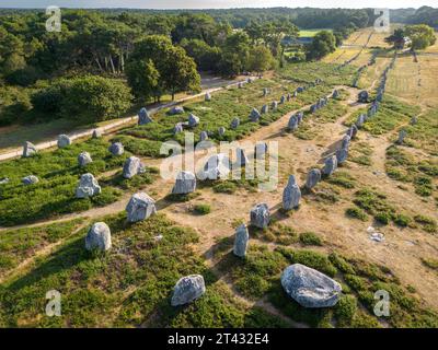 Luftaufnahme der Carnac-Alignments am frühen Morgen (Kermario Alignments, Carnac, Morbihan (56), Bretagne, Frankreich). Alignements de Carnac. Stockfoto