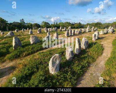 Carnac-Linien am frühen Morgen (Kermario-Alignments, Carnac (56340), Morbihan (56), Bretagne, Frankreich). Alignements de Carnac. Stockfoto