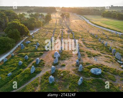 Luftaufnahme der Carnac-Alignments am frühen Morgen (Kermario Alignments, Carnac, Morbihan (56), Bretagne, Frankreich). Alignements de Carnac. Stockfoto