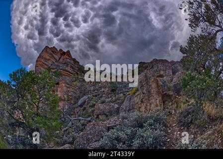 Unheilvolle Sturmwolke nähert sich Lipan Point, South Rim, Grand Canyon National Park, Arizona, USA Stockfoto