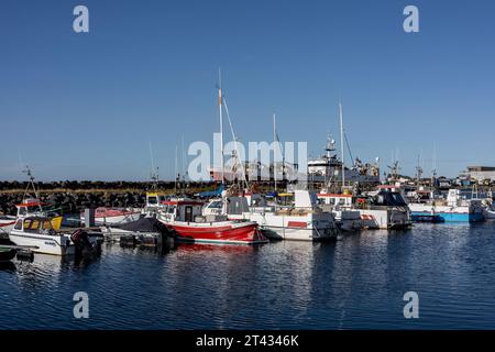 Reykjavik, Island - 25. September 2023: Bunte Fischerboote und Segelboote im Hafen von Karsnes, Kopavogur. Stockfoto