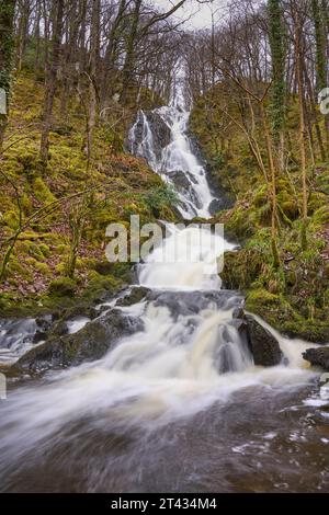 Wasserfall und Eichenwald. Holz von Cree, Dumfries und Galloway. Schottland. März 2023 Stockfoto