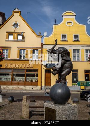 Trzebiatow, Polen - 18. September 2023: Elefantenskulptur auf dem historischen Marktplatz im Stadtzentrum. Stockfoto