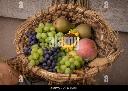 Ein Korbkorb gefüllt mit bunten Früchten: Grüne und rote Trauben, Birnen und Äpfel, verziert mit Sonnenblumen. Herbstdekoration und Thanksgiving. Stockfoto