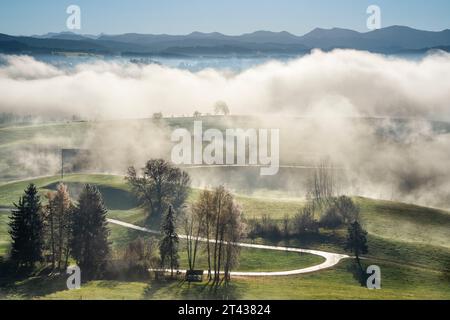 Landschaft im Allgäu im Herbst mit Wolken und Sonnenschein. Berge im Hintergrund. Allgäu, Deutschland. Stockfoto