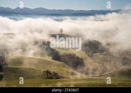 Landschaft im Allgäu im Herbst mit Wolken und Sonnenschein. Berge im Hintergrund. Allgäu, Deutschland. Stockfoto