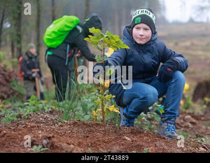 28. Oktober 2023, Sachsen-Anhalt, Elend: Teilnehmer und Unterstützer der Baumpflanzinitiative „heiermann4future“ Pflanzen unter anderem Bergahorn. Rund 9.000 Laubbäume wurden im Waldgebiet Elend im Oberharz mit Unterstützung zahlreicher Freiwilliger gepflanzt. Der Schierk Vermieter, Gastronomie und Investor Th. Kurz vor der Corona-Pandemie gründete Rader die Initiative „heiermann4future“, um einen Beitrag zum Waldschutz im Harz zu leisten. Seitdem setzt er fünf Euro aus jeder gebuchten Nacht in seinen Häusern ein, um Laubbäume für die H zu Pflanzen Stockfoto