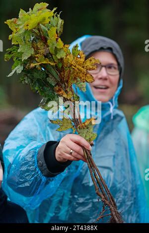 28. Oktober 2023, Sachsen-Anhalt, Elend: Teilnehmer und Unterstützer der Baumpflanzinitiative „heiermann4future“ Pflanzen unter anderem Bergahorn. Rund 9.000 Laubbäume wurden im Waldgebiet Elend im Oberharz mit Unterstützung zahlreicher Freiwilliger gepflanzt. Der Schierk Vermieter, Gastronomie und Investor Th. Kurz vor der Corona-Pandemie gründete Rader die Initiative „heiermann4future“, um einen Beitrag zum Waldschutz im Harz zu leisten. Seitdem setzt er fünf Euro aus jeder gebuchten Nacht in seinen Häusern ein, um Laubbäume für die H zu Pflanzen Stockfoto