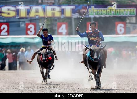 Bangkok, Thailand. Oktober 2023. Jockeys treten beim jährlichen Buffalo Race Festival in Chonburi in der Provinz Chonburi im Osten von Bangkok an. Die Büffellauftradition ist ein traditionelles Ereignis in der Provinz Chonburi, eine der einzigartigen Traditionen von Chonburi, die seit mehr als 100 Jahren stattfindet. Die Büffellauftradition ist eine Tradition, die jährlich stattfindet. Am 16. Mond des 11. Monats oder 1 Tag vor der Fastenzeit, um die Moral der Büffel zu stärken und die Büffel nach einer langen Zeit der Landwirtschaft ruhen zu lassen. Quelle: SOPA Images Limited/Alamy Live News Stockfoto