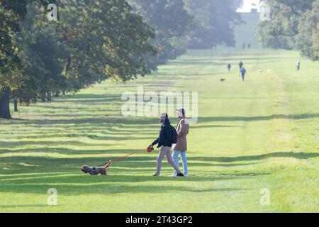 Windsor, Berkshire, Großbritannien. Oktober 2023. Es war ein Tag voller Sonnenschein und Dusche, als die Menschen heute im Windsor Great Park in Berkshire spazierten. Quelle: Maureen McLean/Alamy Live News Stockfoto