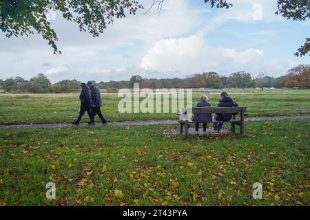 Wimbledon, London, Großbritannien. 28. Oktober 2023. Menschen, die auf dem Wimbledon Common im Südwesten Londons mit herabfallenden Herbstlaub laufen. Credit amer Gazzal/Alamy Live News Stockfoto