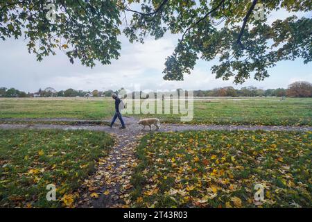 Wimbledon, London, Großbritannien. 28. Oktober 2023. Ein Mann, der mit einem Hund auf dem Wimbledon Common mit herabfallenden Herbstblättern läuft. Credit amer Gazzal/Alamy Live News Stockfoto