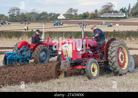 28. Oktober 23, Prestwick, Großbritannien. Die 59. Schottische Pflugmeisterschaft, die auf mehr als 200 Hektar Montonhill Farm in der Nähe von Prestwick, Ayrshire, Schottland, Großbritannien, ausgetragen wurde. mehr als 100 internationale Teilnehmer, darunter Shire- und Clydesdale-Pferde, europäische klassische und alte Traktoren und Pflüge sowie moderne Traktoren mit Pflügen. Die Gewinner erhalten Qualifikationspunkte und können an der Weltmeisterschaft im Pflügen teilnehmen. Quelle: Findlay/Alamy Live News Stockfoto