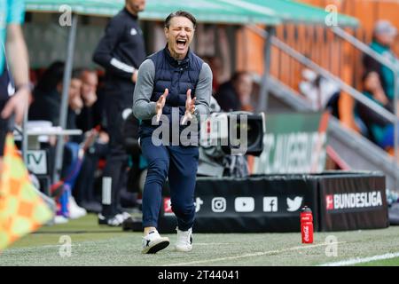 28. Oktober 2023, Bayern, Augsburg: Fußball, Bundesliga, FC Augsburg - VfL Wolfsburg, Spieltag 9, WWK Arena. Trainer Nico Kovac vom VfL Wolfsburg reagiert wütend auf das Spiel. Foto: Daniel Löb/dpa - WICHTIGER HINWEIS: Gemäß den Vorgaben der DFL Deutsche Fußball Liga und des DFB Deutscher Fußball-Bund ist es verboten, im Stadion und/oder des Spiels aufgenommene Fotografien in Form von Sequenzbildern und/oder videoähnlichen Fotoserien zu verwenden oder verwenden zu lassen. Stockfoto