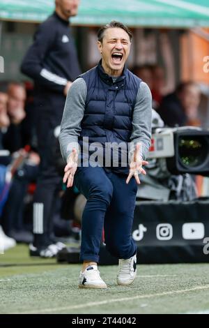 28. Oktober 2023, Bayern, Augsburg: Fußball, Bundesliga, FC Augsburg - VfL Wolfsburg, Spieltag 9, WWK Arena. Trainer Nico Kovac vom VfL Wolfsburg reagiert wütend auf das Spiel. Foto: Daniel Löb/dpa - WICHTIGER HINWEIS: Gemäß den Vorgaben der DFL Deutsche Fußball Liga und des DFB Deutscher Fußball-Bund ist es verboten, im Stadion und/oder des Spiels aufgenommene Fotografien in Form von Sequenzbildern und/oder videoähnlichen Fotoserien zu verwenden oder verwenden zu lassen. Stockfoto