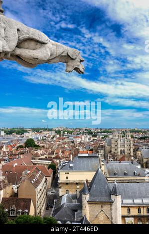 Dijon, Gargoyle von Philip Le Bon Tower, Cote d'Or, Burgund, Frankreich, Europa Stockfoto