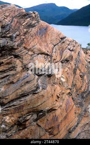 Schiefer ist ein metamorphes Gestein mit Foliation (schistose Textur). Dieses Foto wurde in Norwegen aufgenommen. Stockfoto