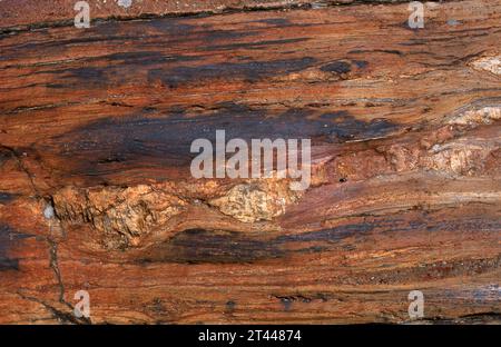 Schiefer mit Quarzknollen (Boudinage). Schiefer ist ein metamorphes Gestein mit Foliation (schistose Textur). Dieses Foto wurde in Norwegen aufgenommen. Stockfoto