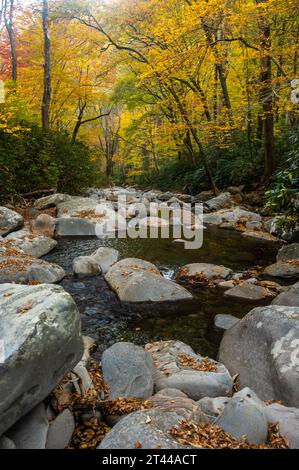 Kleiner Pool Am Porters Creek Im Herbst Im Great Smoky Mountains National Park Stockfoto