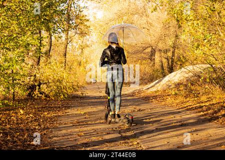 Ein Mädchen auf einem Elektroroller im Herbst unter einem transparenten Schirm fährt durch den Herbstwald entlang der Straße, spaziert im Herbst durch den Park, Stockfoto