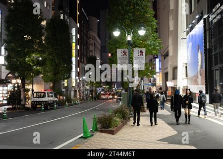 Tokio, Japan. Oktober 2023. Die Straßen des Shibuya-Scramble während Halloween-Feiern an einem Samstagabend. Shibuya Bürgermeister Ken Hasebe, ermutigt durch die Seoul Itaewon-Katastrophe, hat Halloween-Feiern verboten und ausländische Touristen gewarnt, sich von Shibuya fernzuhalten, nachdem sie eine mehrjährige Kampagne durchgeführt hatten, um die Volksversammlung zu töten, indem sie vor einer potenziellen Schreckenssituation warnten, obwohl es keine Vorfälle gab, die eine Katastrophe in Tokio nach Itaewon-Art zur Kontrolle der Menschenmenge beinhalteten. Trinken und Rauchen sind in Shibuya-ku an Halloween vorübergehend verboten. (Foto: © Taidgh Barron/ZUMA Press Wire) EDITORIA Stockfoto