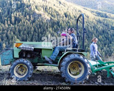 Der Landwirt fährt einen Traktor, da er das Rad während der Kartoffelernte an einem Herbsttag im Aostatal NW Italien hält. Oktober 2023 Stockfoto