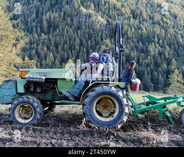 Der Landwirt fährt einen Traktor, da er das Rad während der Kartoffelernte an einem Herbsttag im Aostatal NW Italien hält. Oktober 2023 Stockfoto