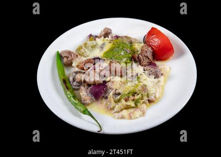 Traditionelle türkische Küche aus dem Osmanischen Reich. Tave Kosi ist ein nationales albanisches Gericht aus gebackenem Lamm und Reis mit Joghurt aus der Nähe Stockfoto