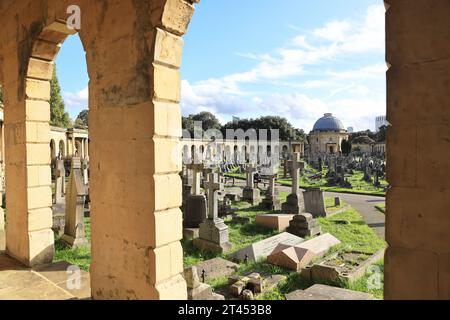 Herbstsonne auf dem Brompton Cemetery, einem der prächtigen Seven in London, Großbritannien Stockfoto