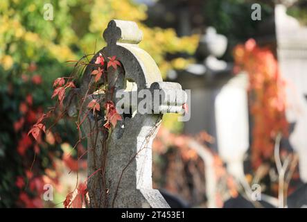 Herbstfarben auf dem historischen Brompton Cemetery, der erstmals 1840 geweiht wurde, einem der prächtigen Seven Cemeteries in London, Großbritannien Stockfoto