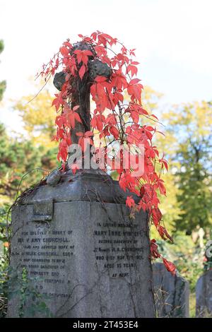 Herbstfarben auf dem historischen Brompton Cemetery, der erstmals 1840 geweiht wurde, einem der prächtigen Seven Cemeteries in London, Großbritannien Stockfoto