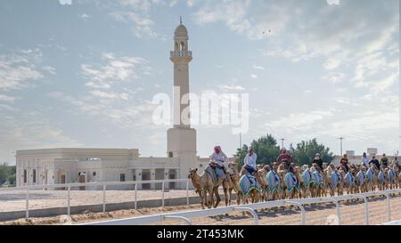 Al Shahaniya, Doha, Katar - 03. Oktober 2023: Kamelpfleger unterrichten und pflegen die Kamele auf der Al Shahaniya-Strecke Stockfoto