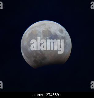 London, Großbritannien. Oktober 2023. Partielle Mondfinsternis in ihrer fast vollen Ausdehnung, von London aus gesehen, um 21:09 Uhr. Das Bild ist farblich verstärkt, um Mineralablagerungen auf der Mondoberfläche zu zeigen. Quelle: Malcolm Park/Alamy Live News Stockfoto