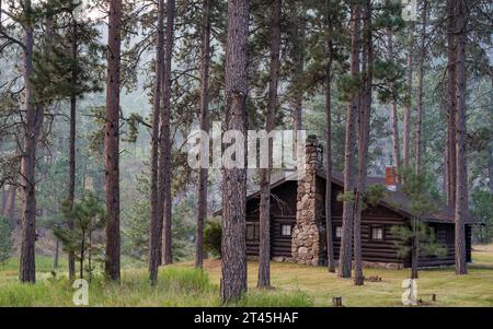 Log House in the Woods im Custer State Park in South Dakota Stockfoto