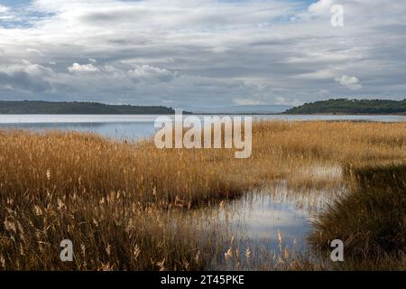 Blick auf den Gruissan-See an einem bewölkten Herbsttag, aude, Okzitanien, Südfrankreich Stockfoto