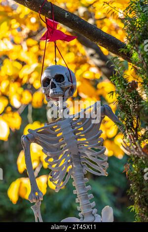 Eine Halloween Skelett Dekoration hängen in einem Baum mit bunten
